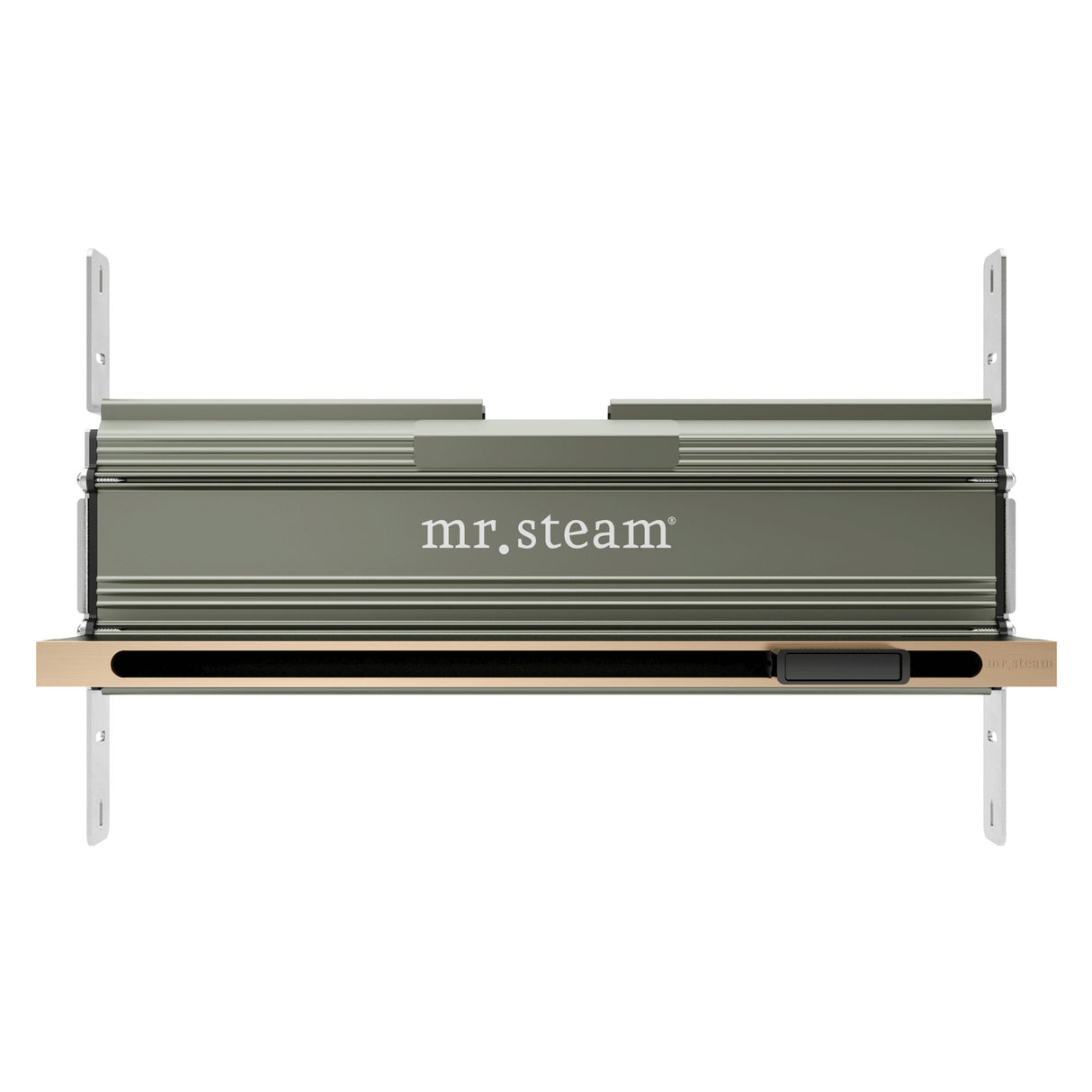 Mr.Steam Linear SteamHead