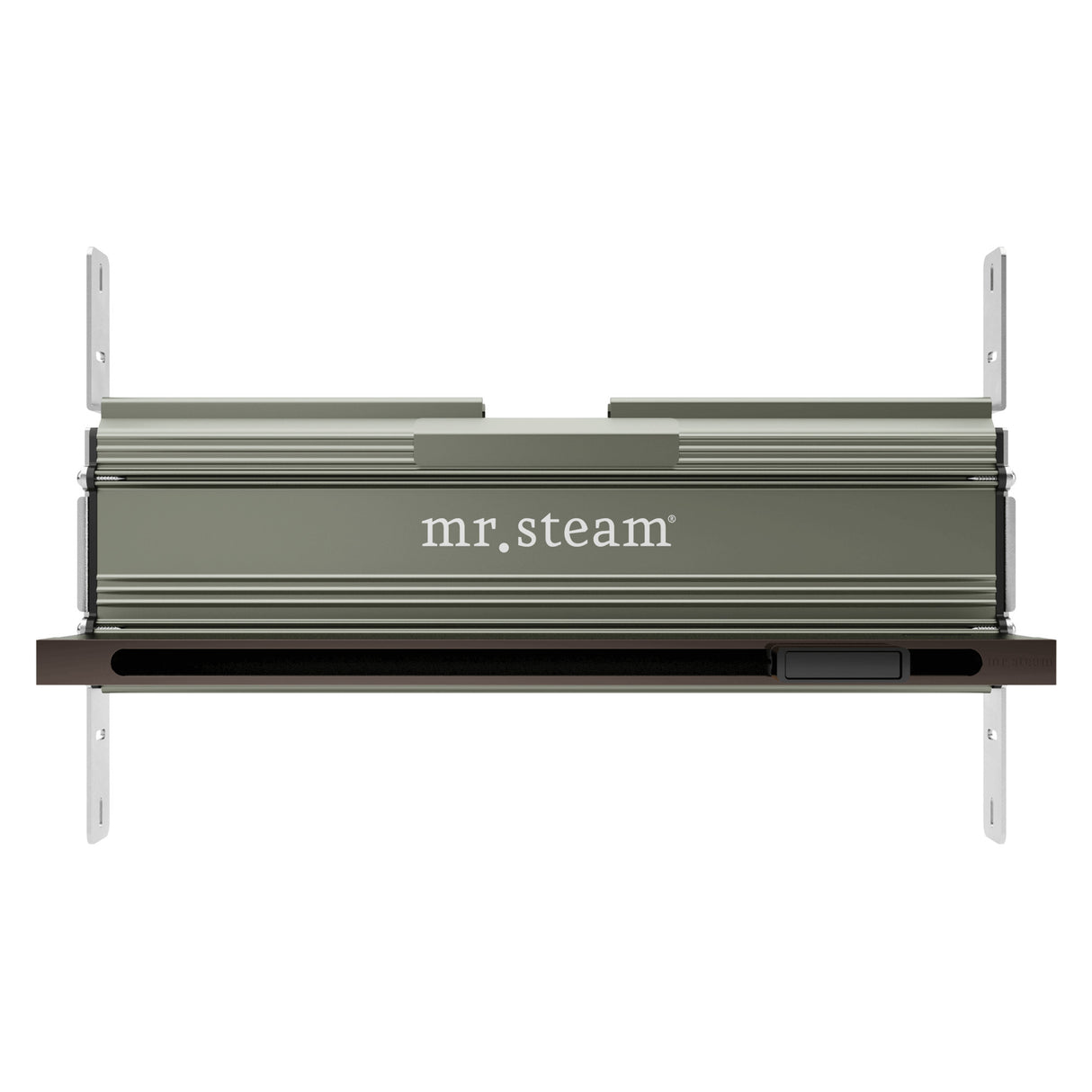 Mr.Steam Linear SteamHead