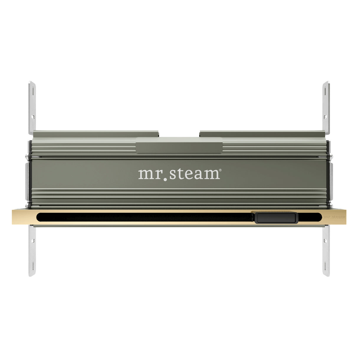 Mr.Steam Linear SteamHead