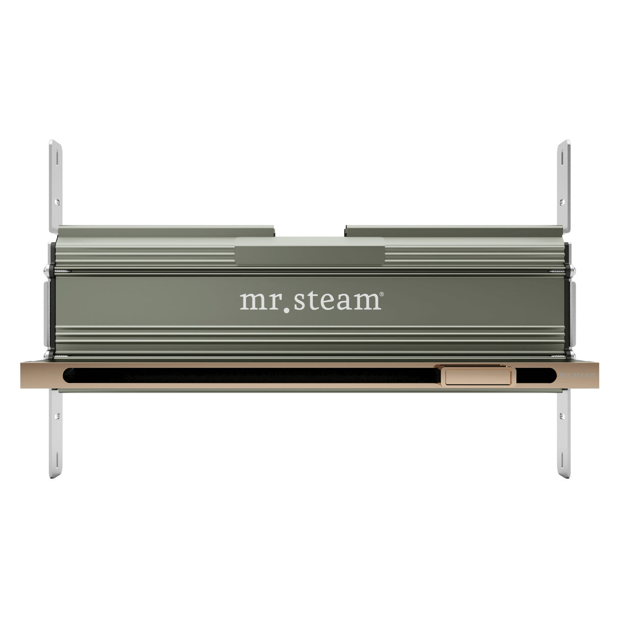 Mr.Steam Linear SteamHead
