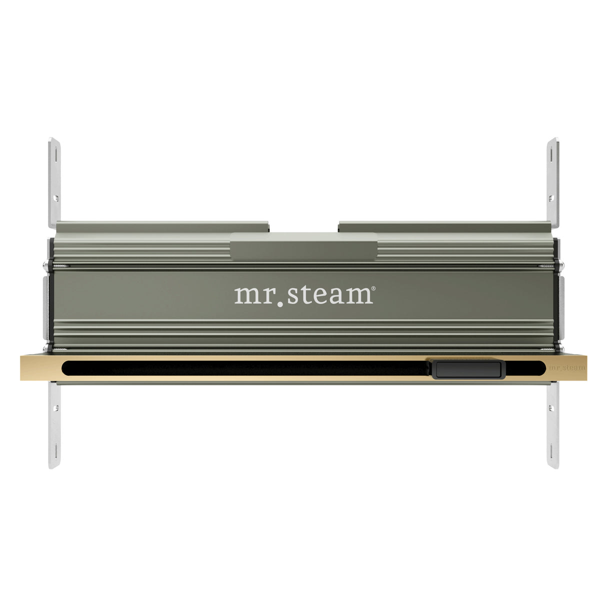 Mr.Steam Linear SteamHead