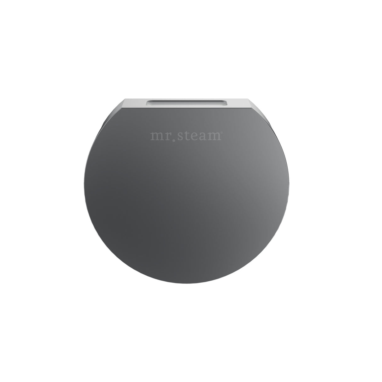 Mr.Steam Aroma Designer SteamHead