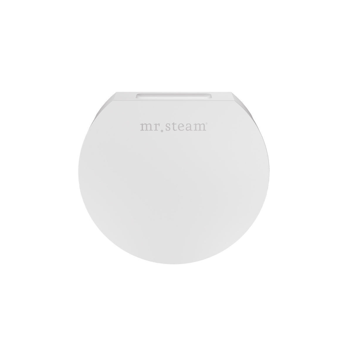 Mr.Steam Aroma Designer SteamHead