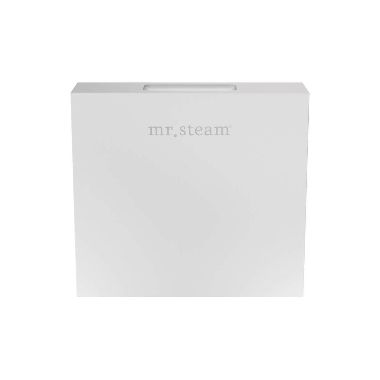 Mr.Steam Aroma Designer SteamHead