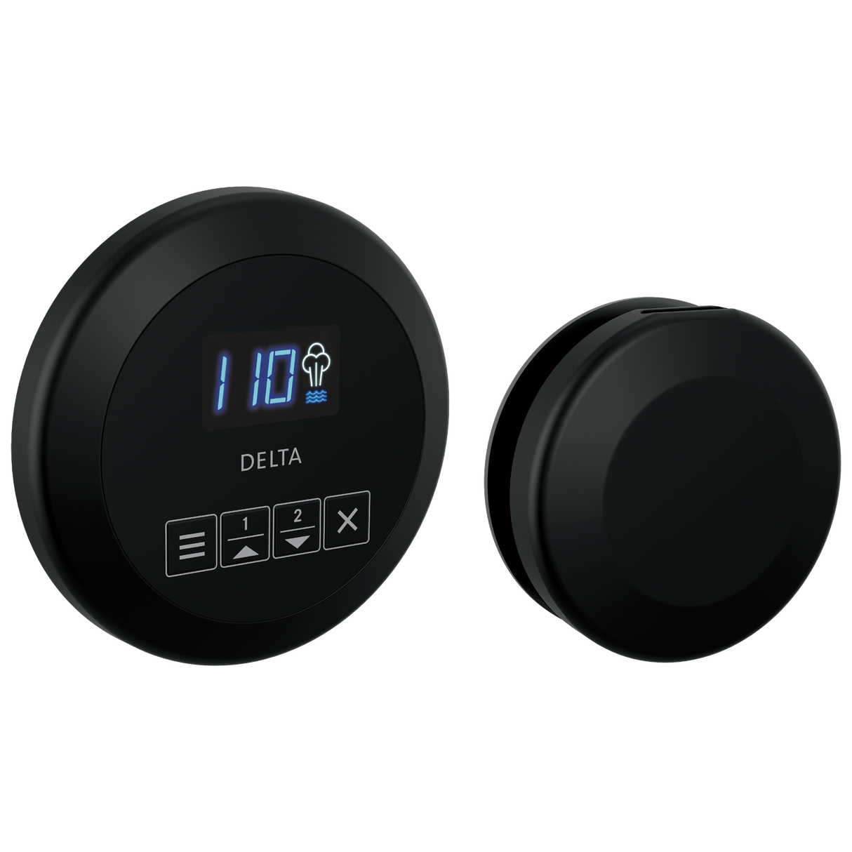 Delta SteamScape Classic System Control and Steam Head