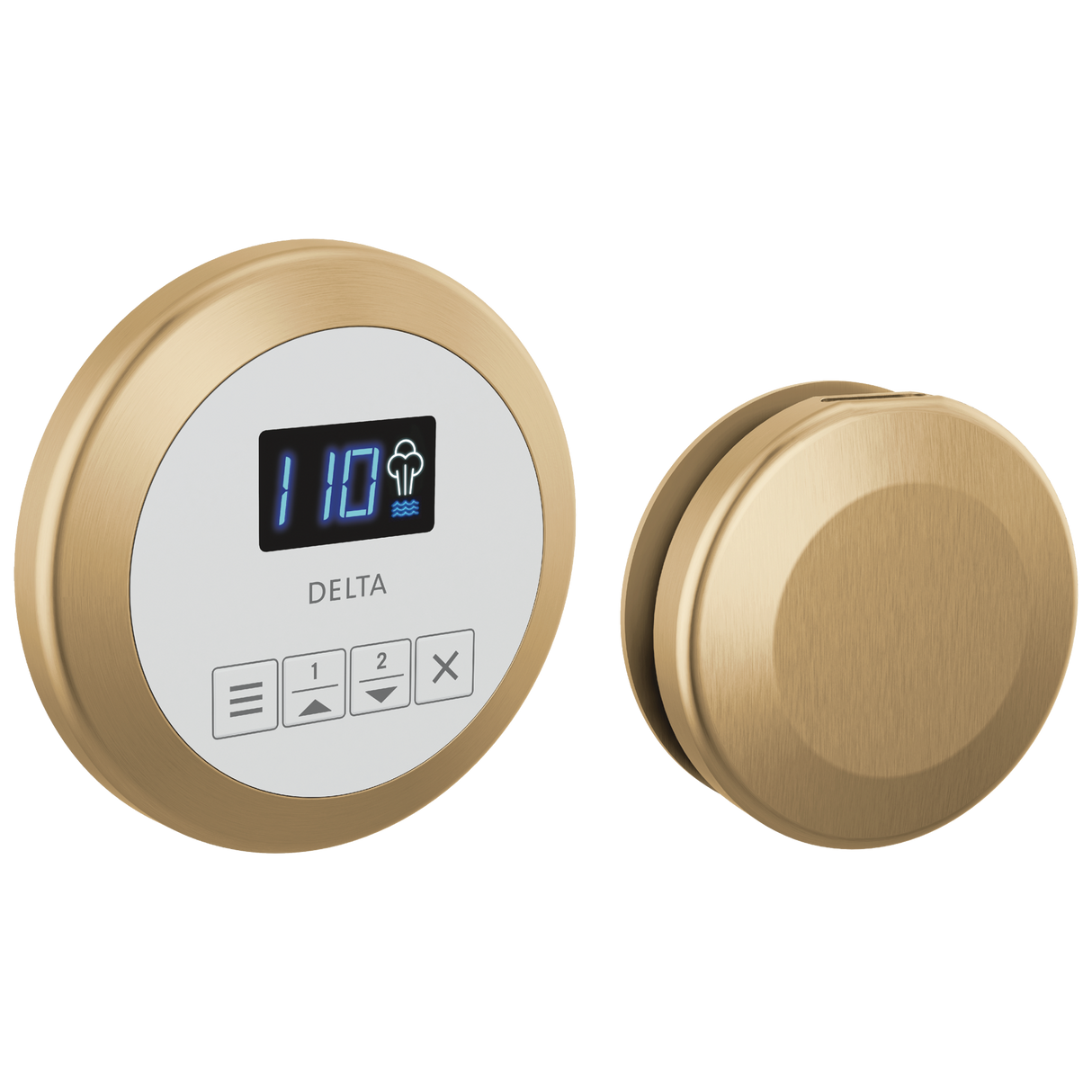 Delta SteamScape Classic System Control and Steam Head