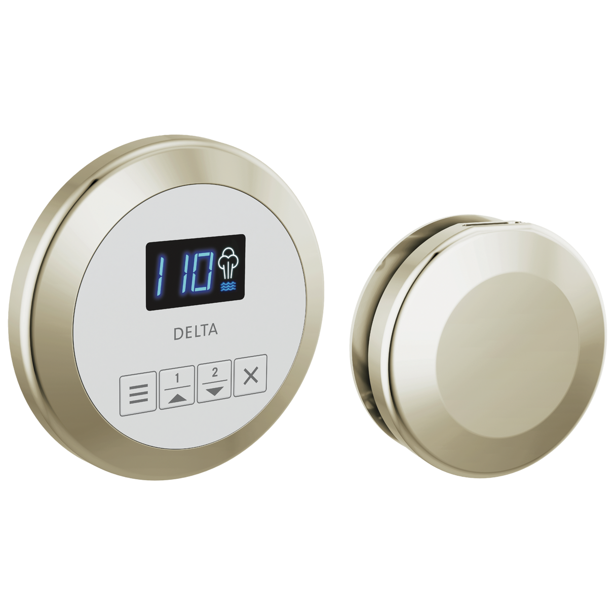 Delta SteamScape Classic System Control and Steam Head