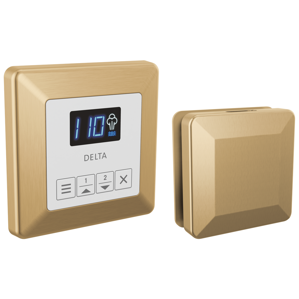 Delta SteamScape Classic System Control and Steam Head