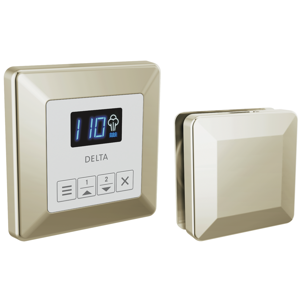 Delta SteamScape Classic System Control and Steam Head