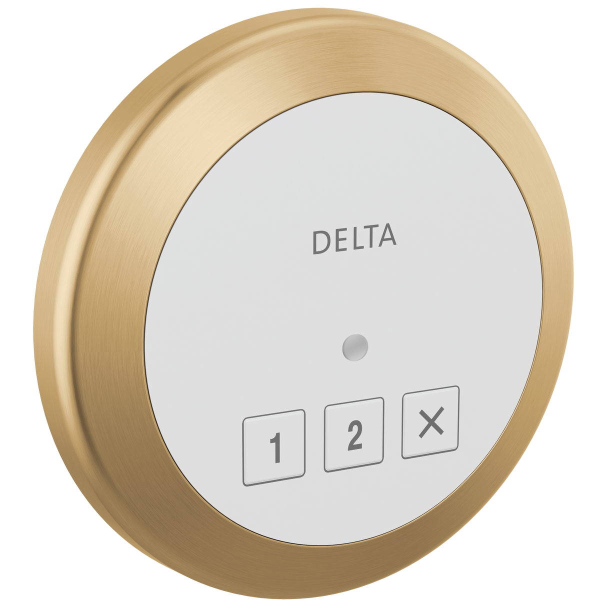 Delta SteamScape Classic Exterior Control