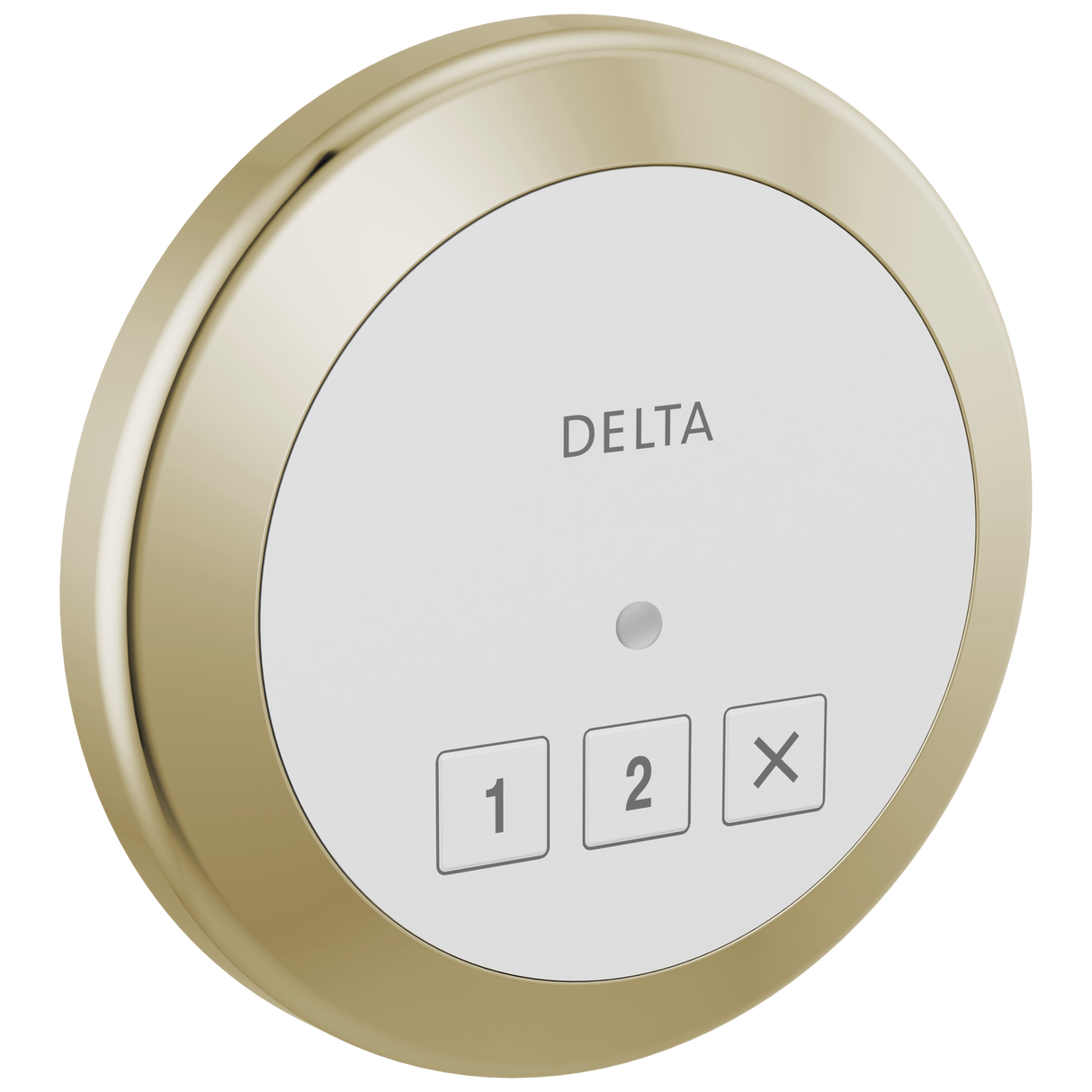 Delta SteamScape Classic Exterior Control