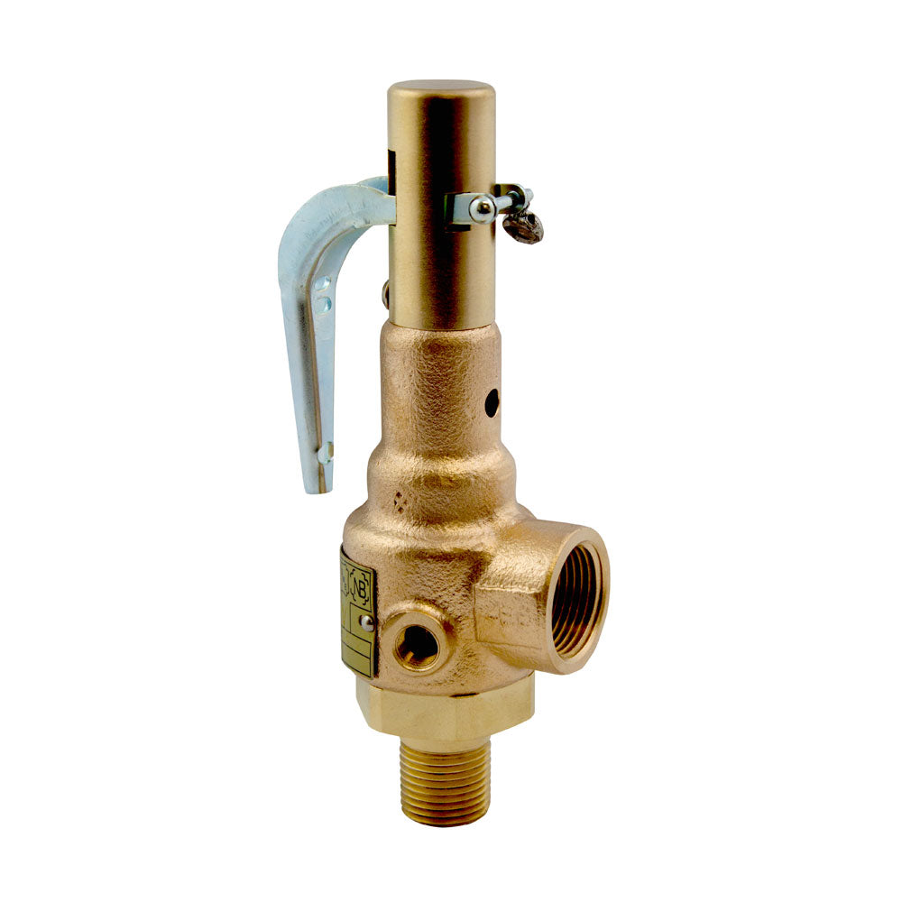 Mr.Steam CU Series Safety Valve 99297V