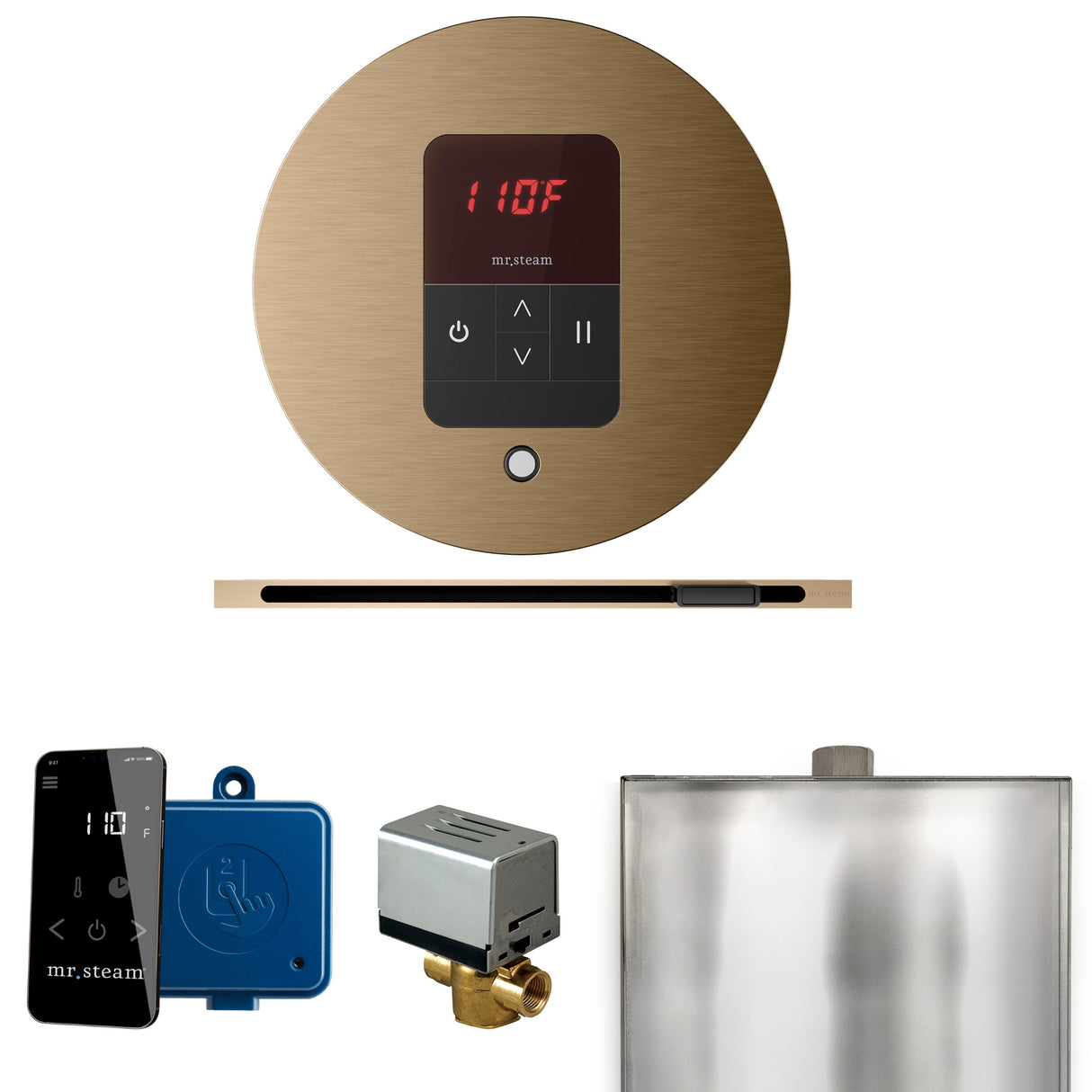 Mr.Steam Basic Butler Linear Steam Shower Control Package