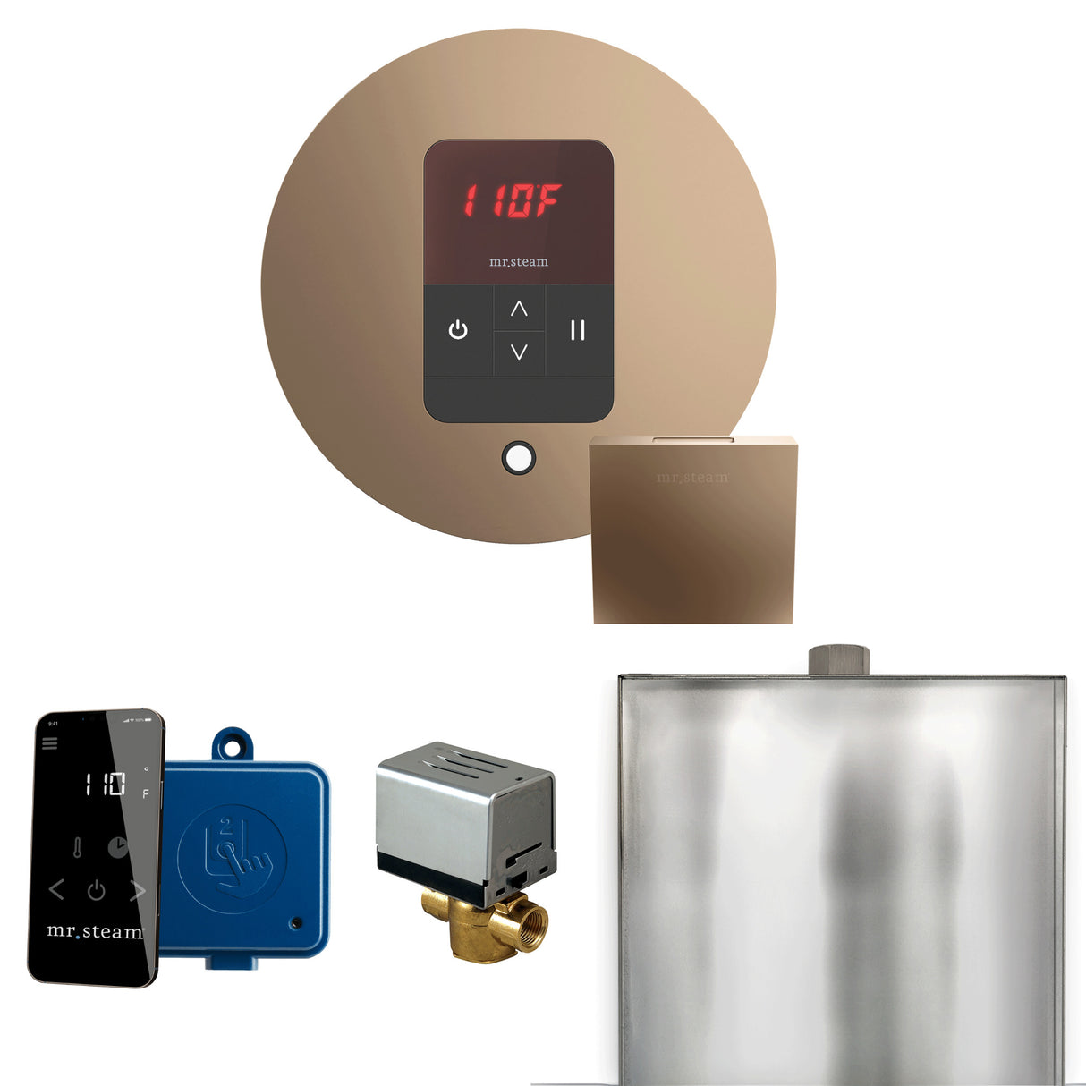 Mr.Steam Basic Butler Aroma Designer Steam Shower Control Package