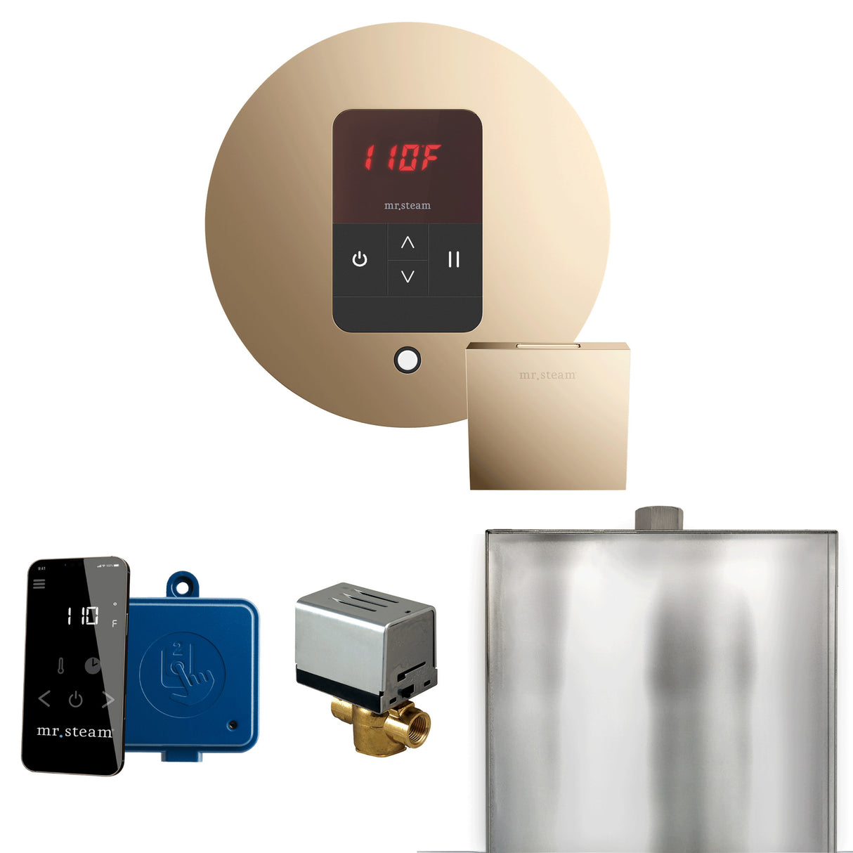 Mr.Steam Basic Butler Aroma Designer Steam Shower Control Package