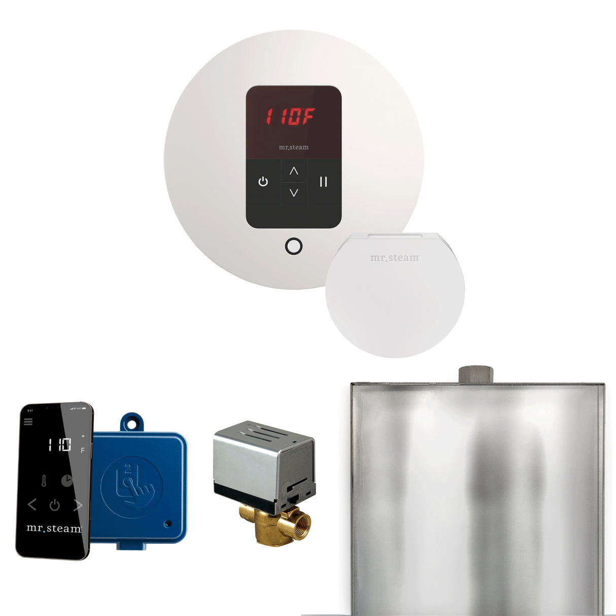 Mr.Steam Basic Butler Aroma Designer Steam Shower Control Package