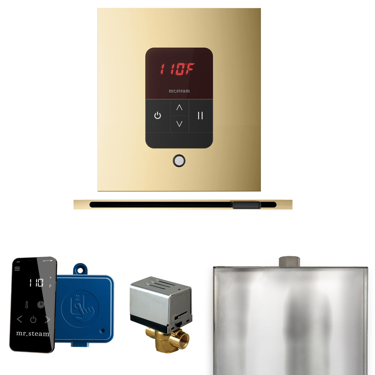 Mr.Steam Basic Butler Linear Steam Shower Control Package