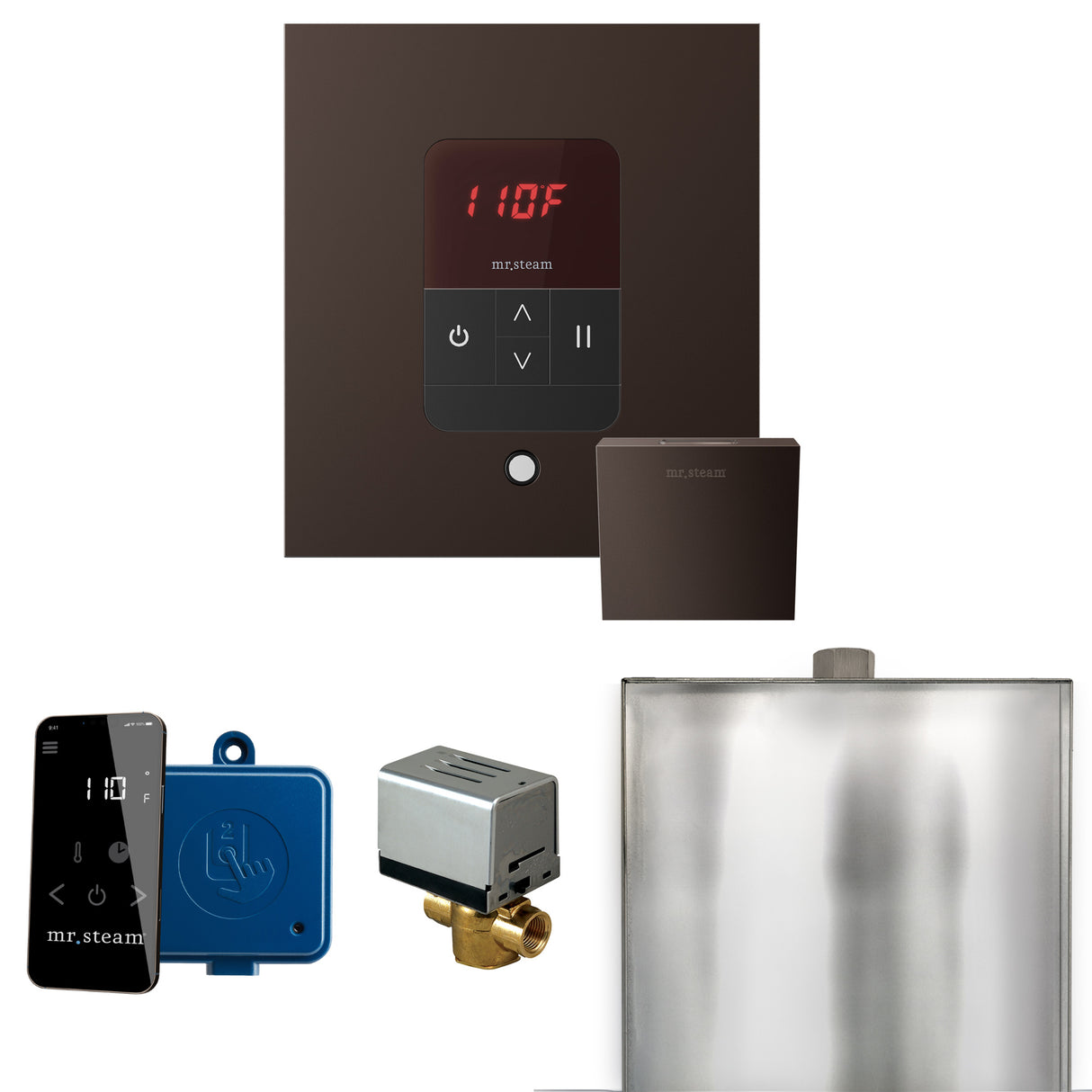 Mr.Steam Basic Butler Aroma Designer Steam Shower Control Package