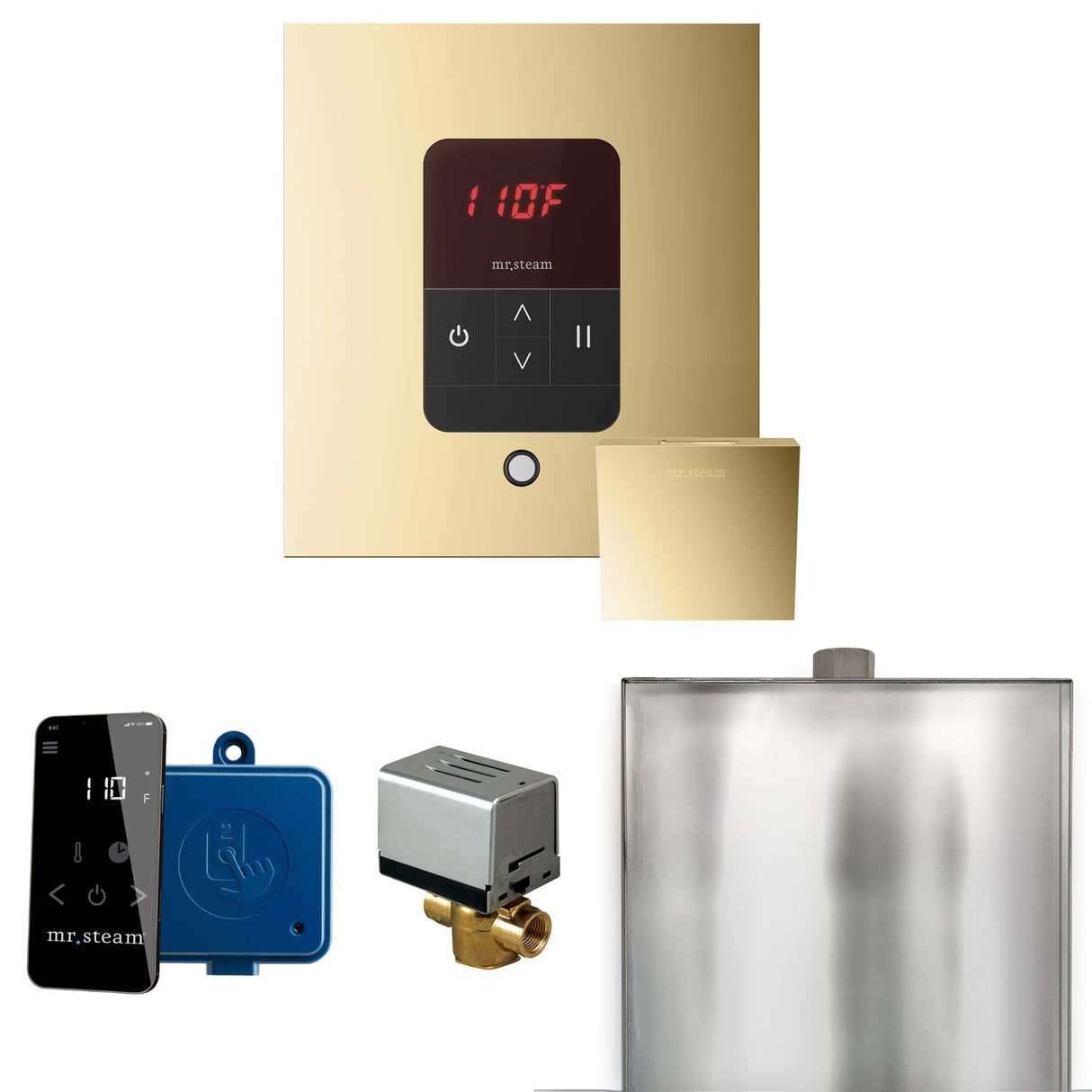 Mr.Steam Basic Butler Aroma Designer Steam Shower Control Package