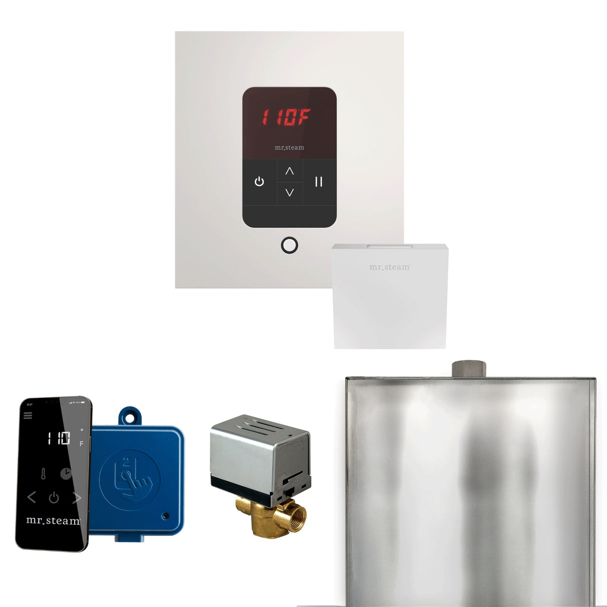 Mr.Steam Basic Butler Aroma Designer Steam Shower Control Package