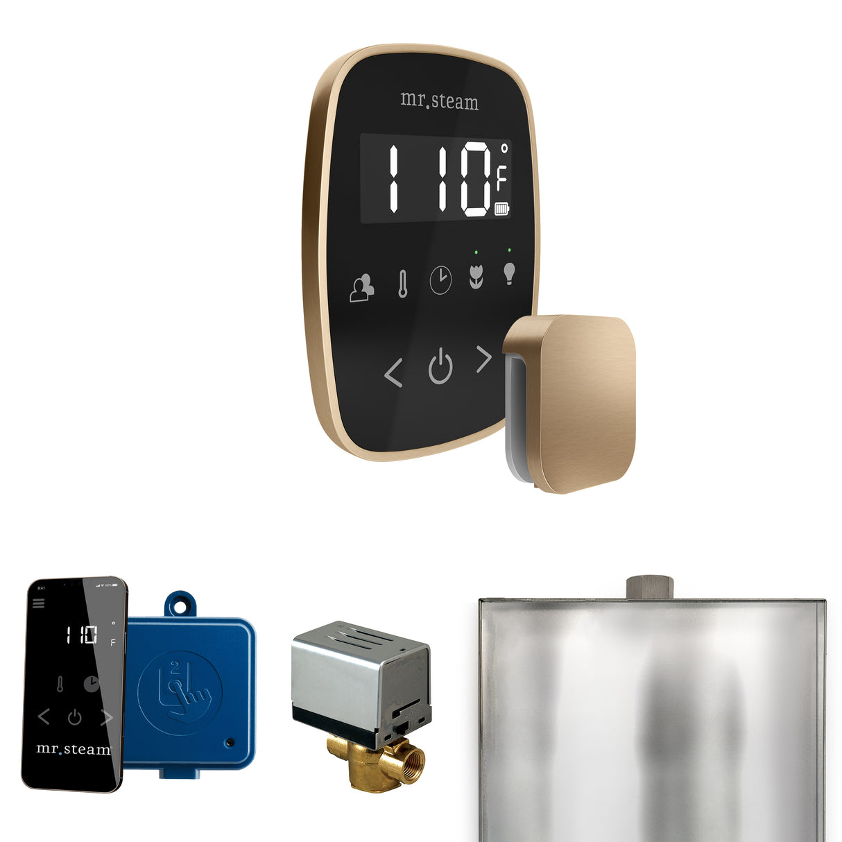 Mr.Steam ButlerFlex Steam Shower Control Package