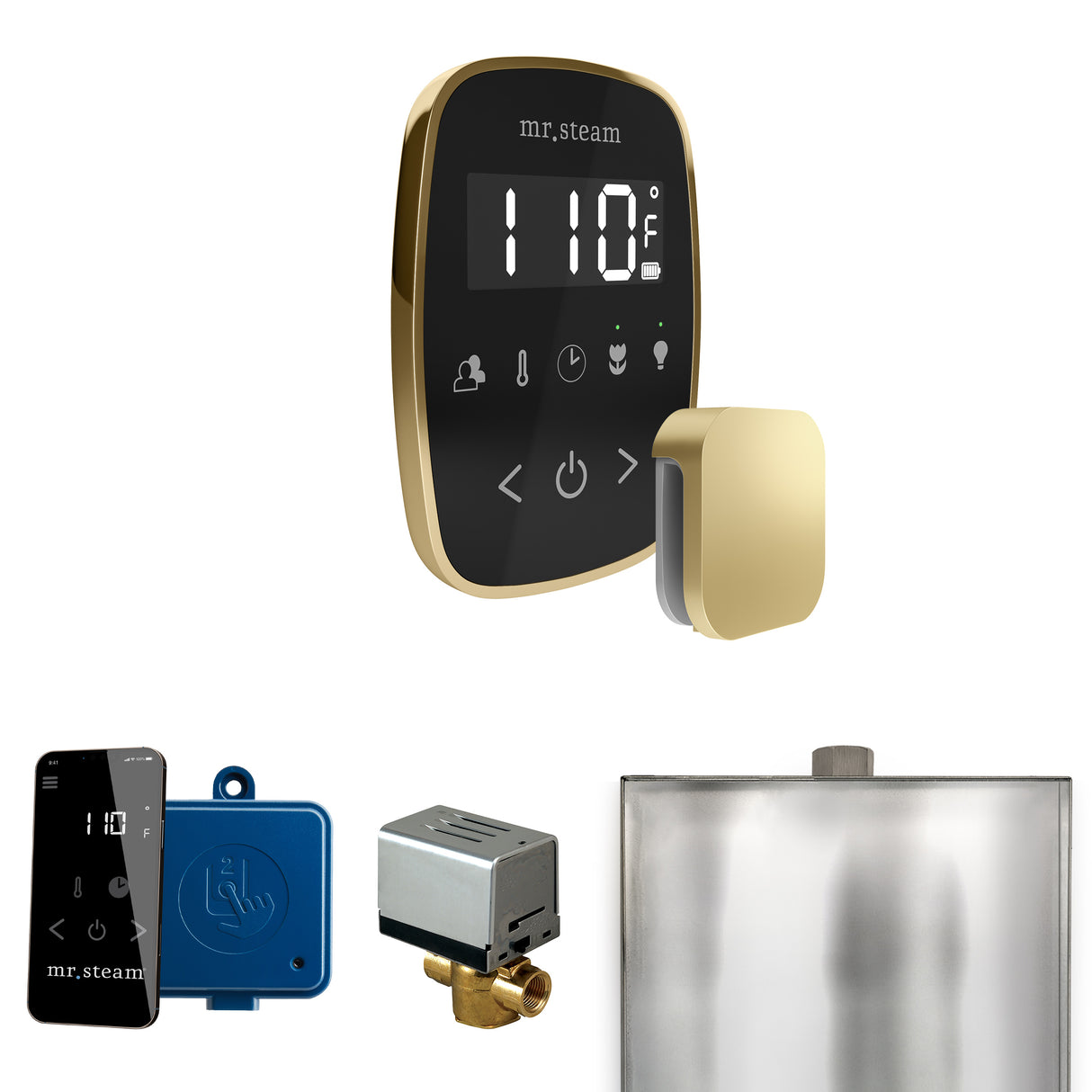 Mr.Steam ButlerFlex Steam Shower Control Package