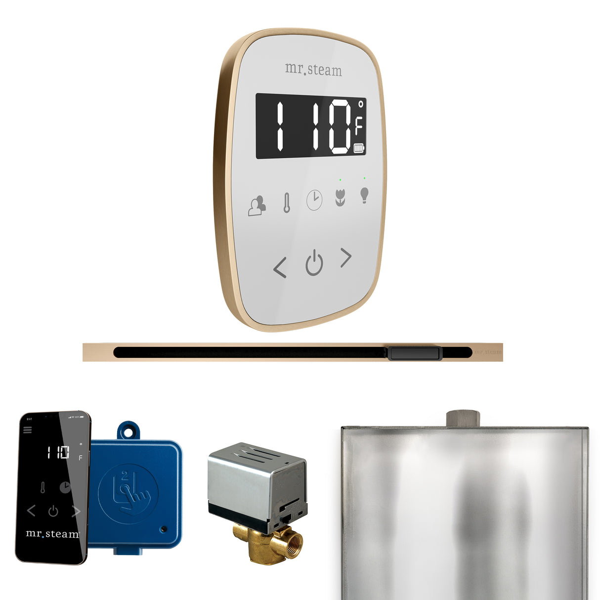 Mr.Steam ButlerFlex Linear Steam Shower Control Package