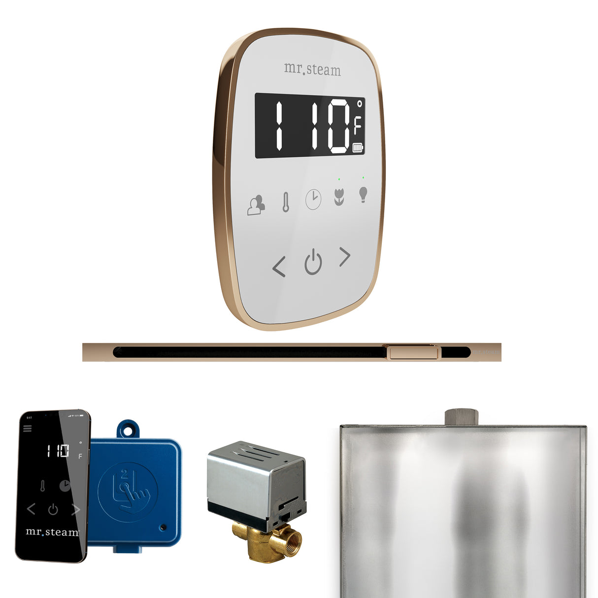 Mr.Steam ButlerFlex Linear Steam Shower Control Package