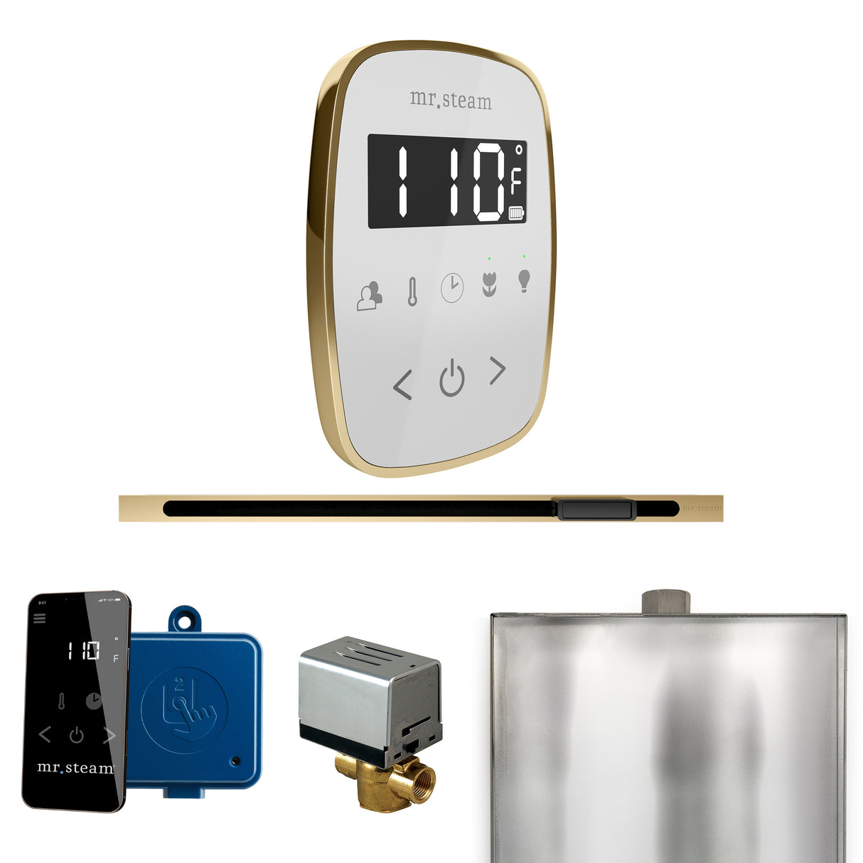 Mr.Steam ButlerFlex Linear Steam Shower Control Package