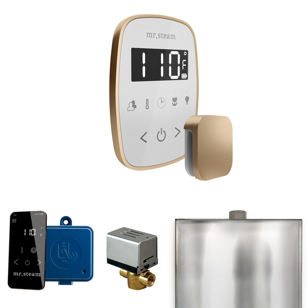 Mr.Steam ButlerFlex Steam Shower Control Package