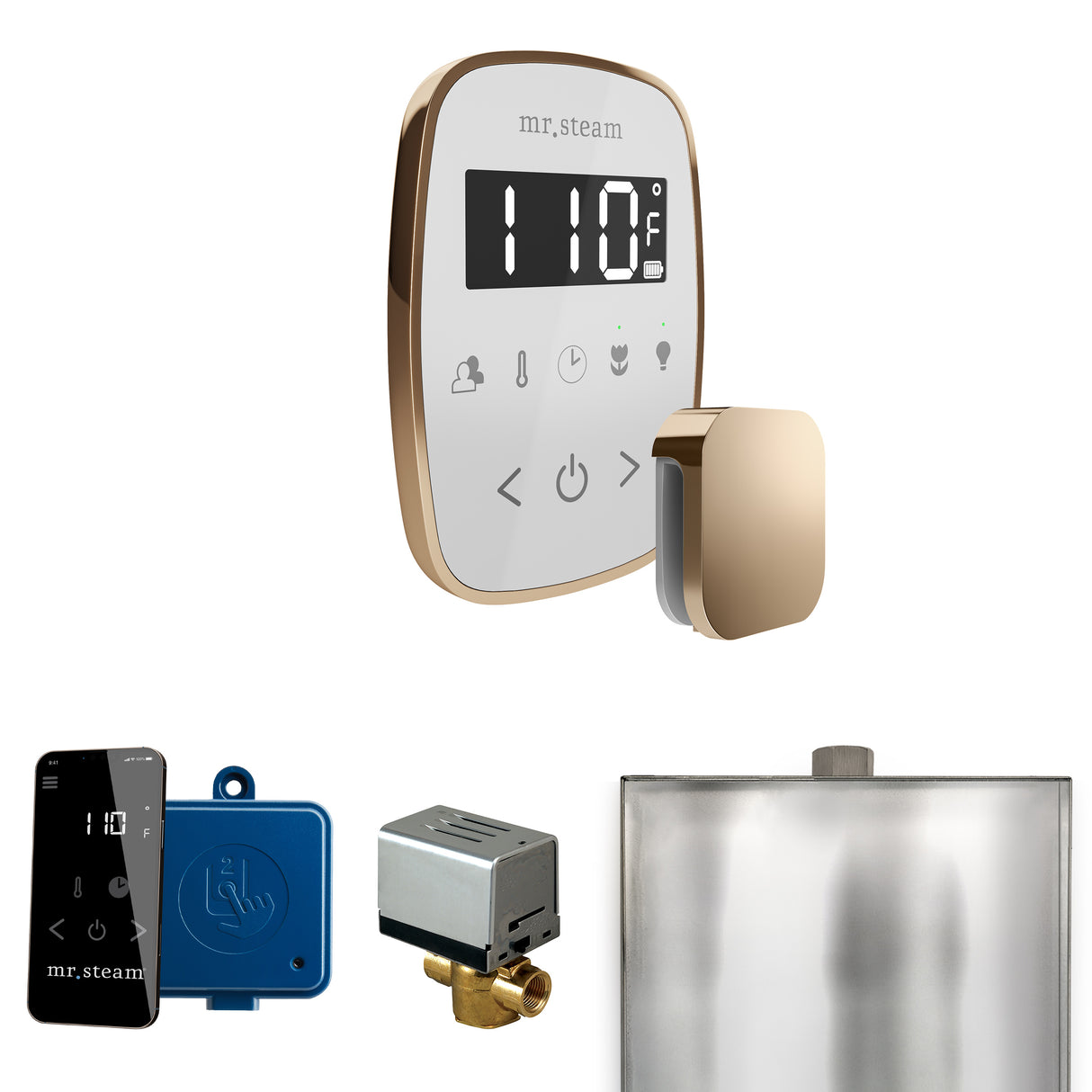 Mr.Steam ButlerFlex Steam Shower Control Package