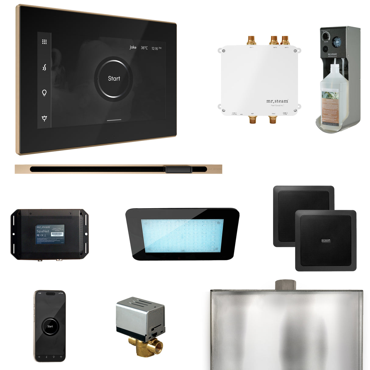 Mr.Steam Bliss Linear Steam Shower Control Package