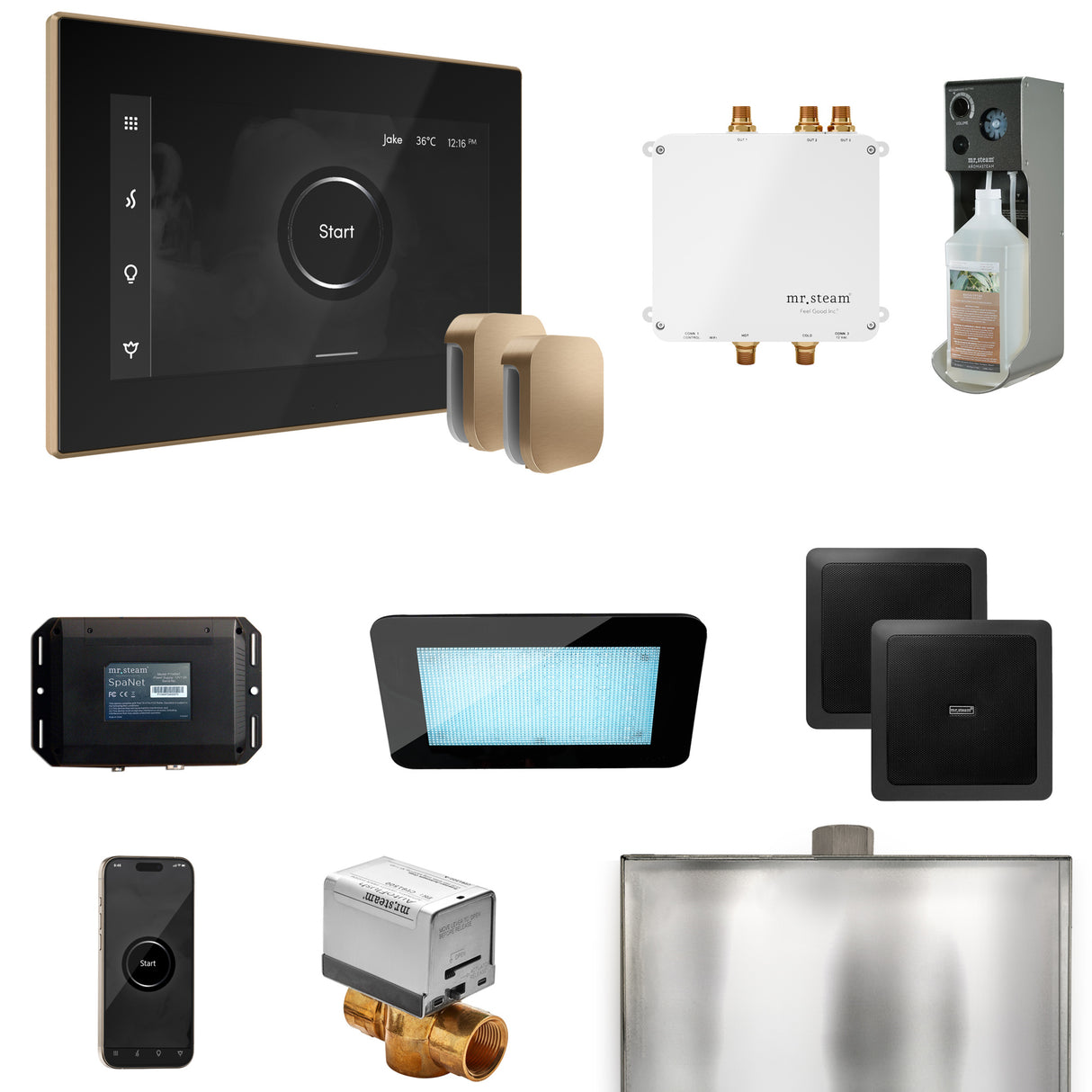 Mr.Steam Bliss Max Steam Shower Control Package