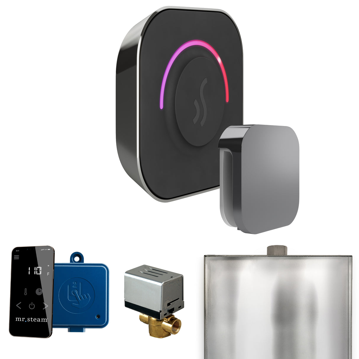 Mr.Steam ButlerTouch Steam Shower Control Package