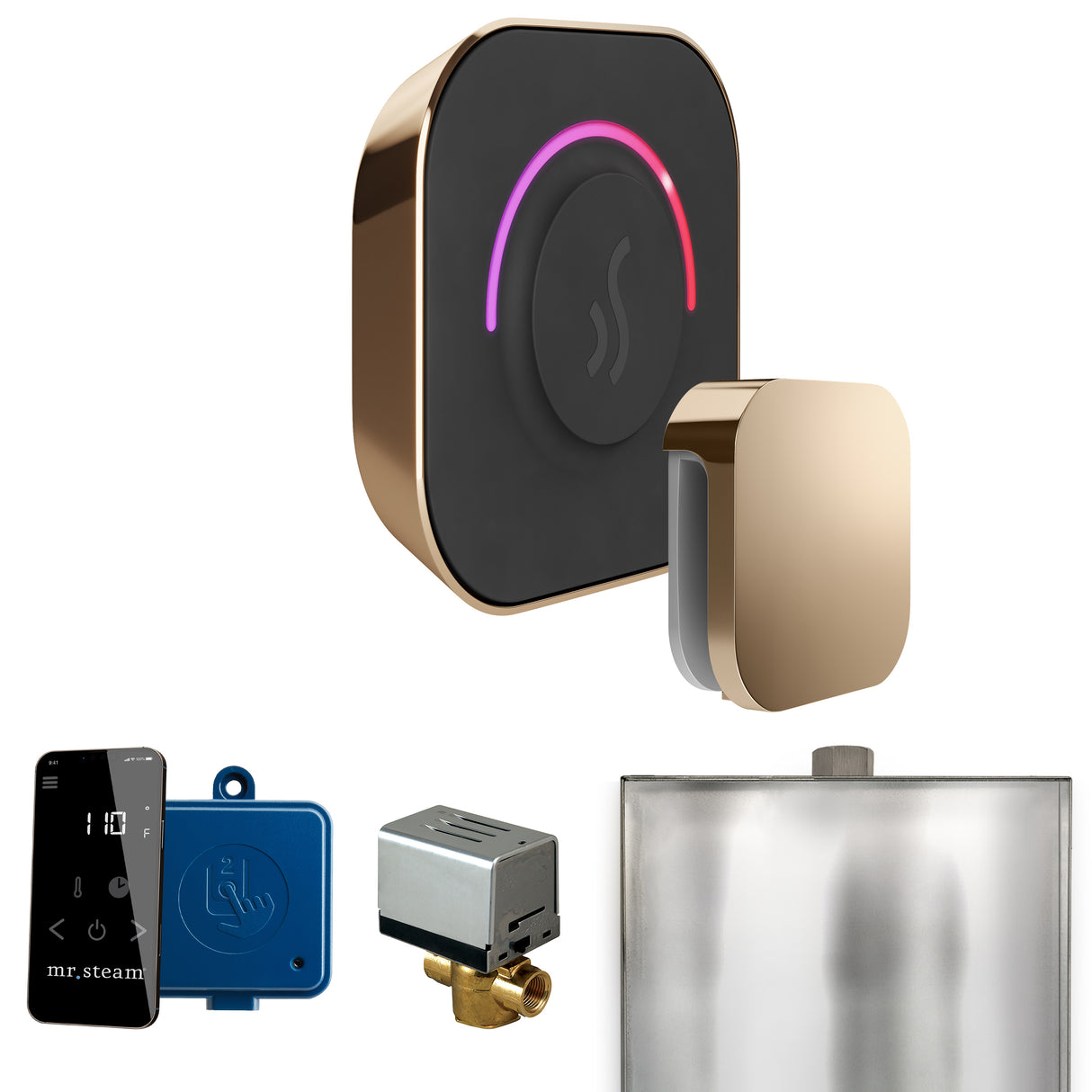 Mr.Steam ButlerTouch Steam Shower Control Package