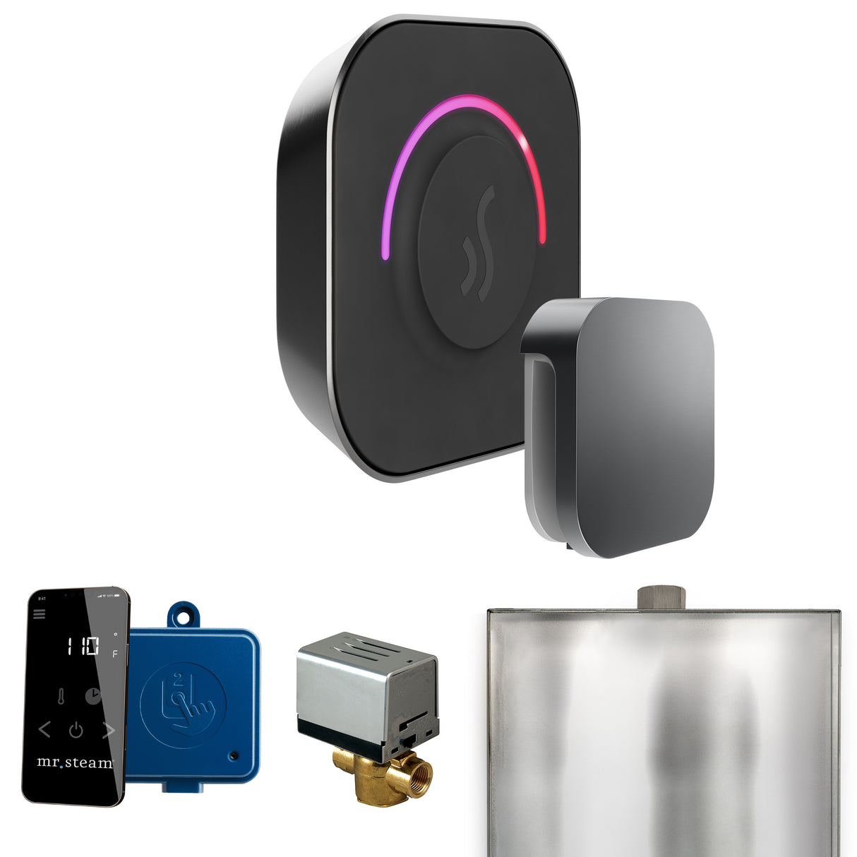 Mr.Steam ButlerTouch Steam Shower Control Package