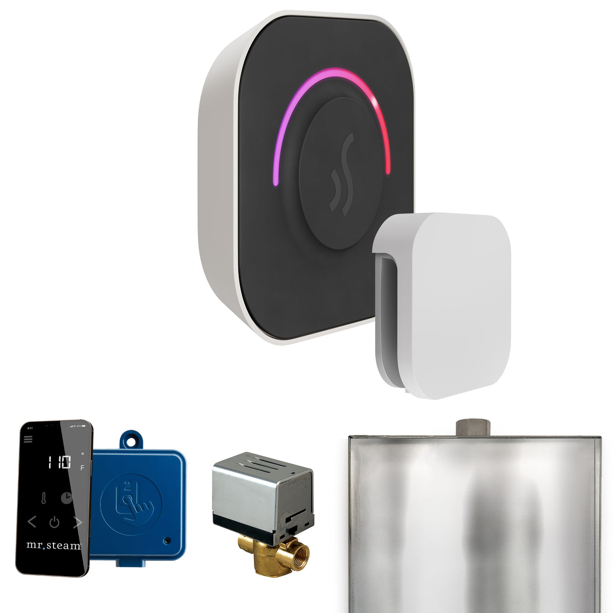 Mr.Steam ButlerTouch Steam Shower Control Package