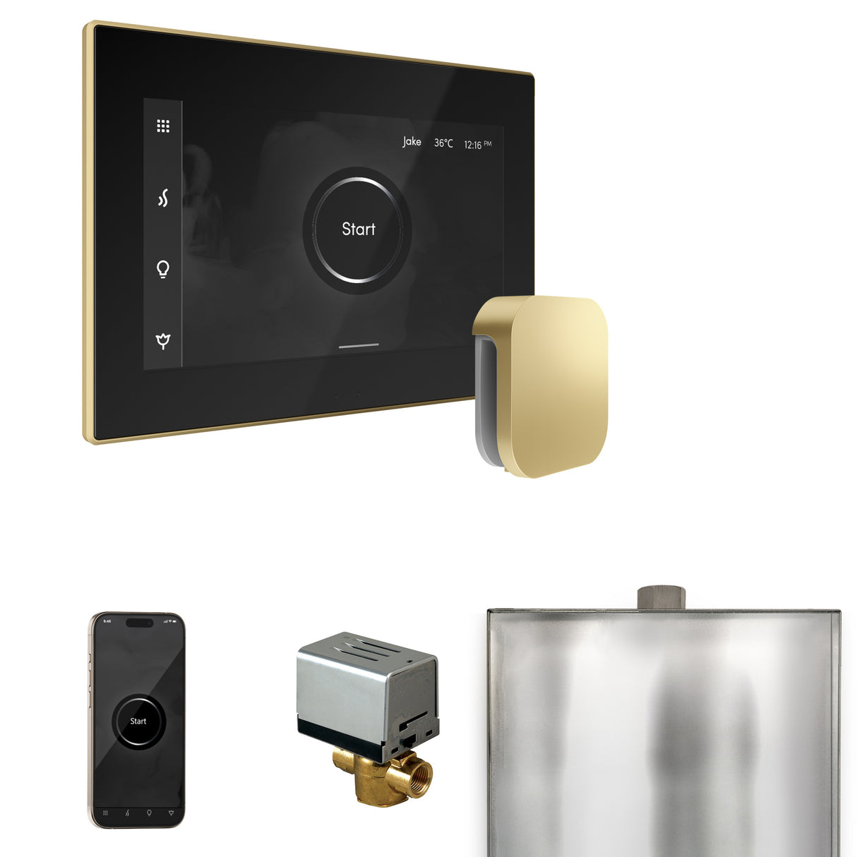 Mr.Steam XButler Steam Shower Control Package