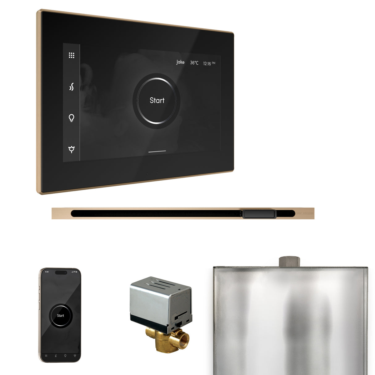 Mr.Steam Xbutler Linear Steam Shower Control Package