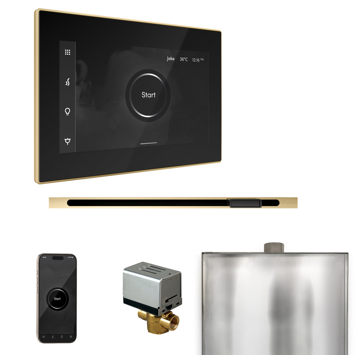 Mr.Steam Xbutler Linear Steam Shower Control Package