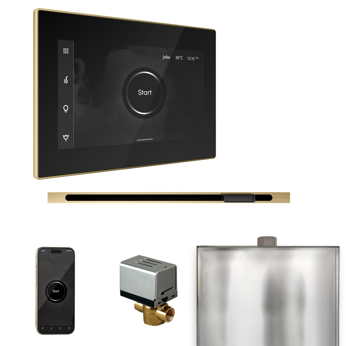 Mr.Steam Xbutler Linear Steam Shower Control Package