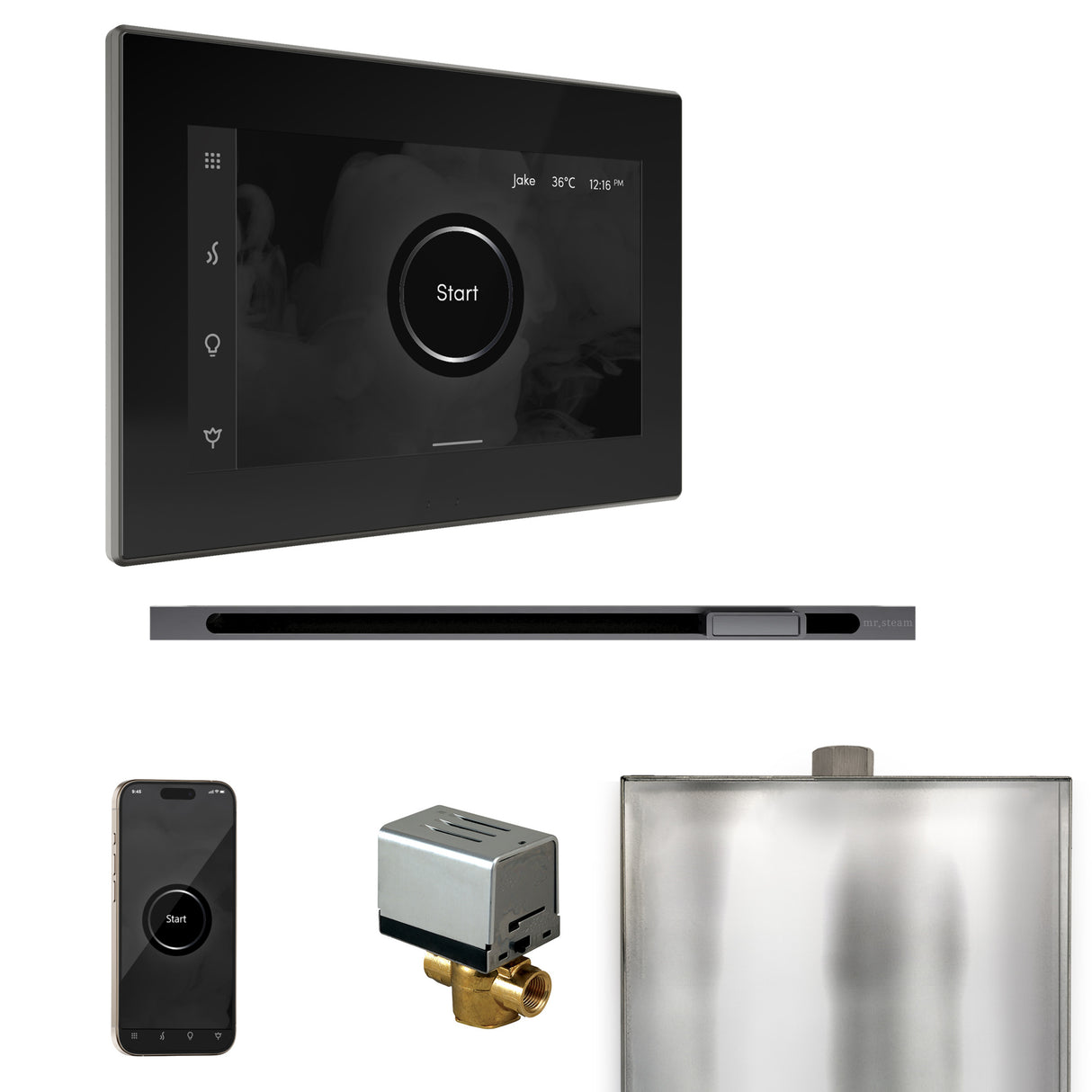 Mr.Steam Xbutler Linear Steam Shower Control Package