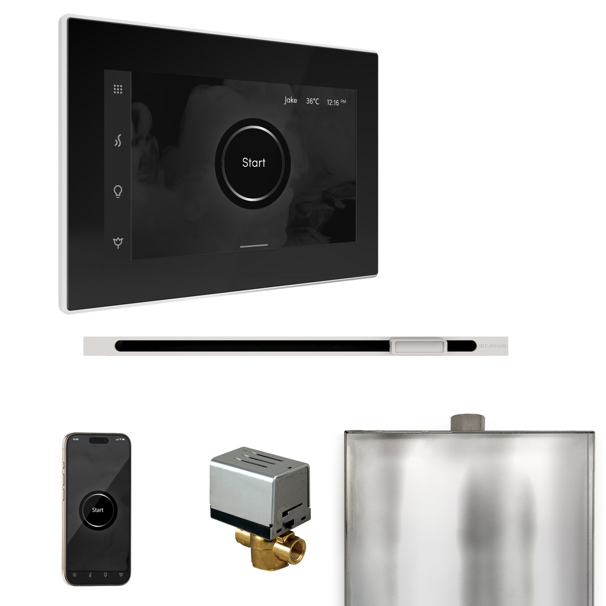 Mr.Steam Xbutler Linear Steam Shower Control Package