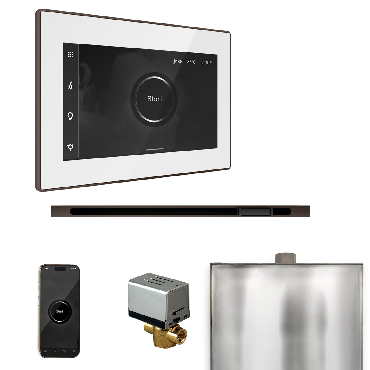 Mr.Steam Xbutler Linear Steam Shower Control Package