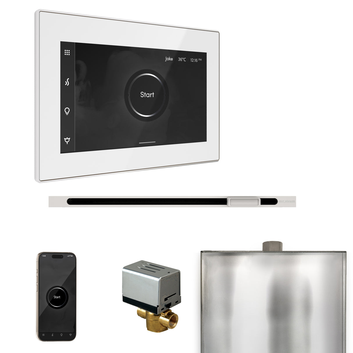 Mr.Steam Xbutler Linear Steam Shower Control Package