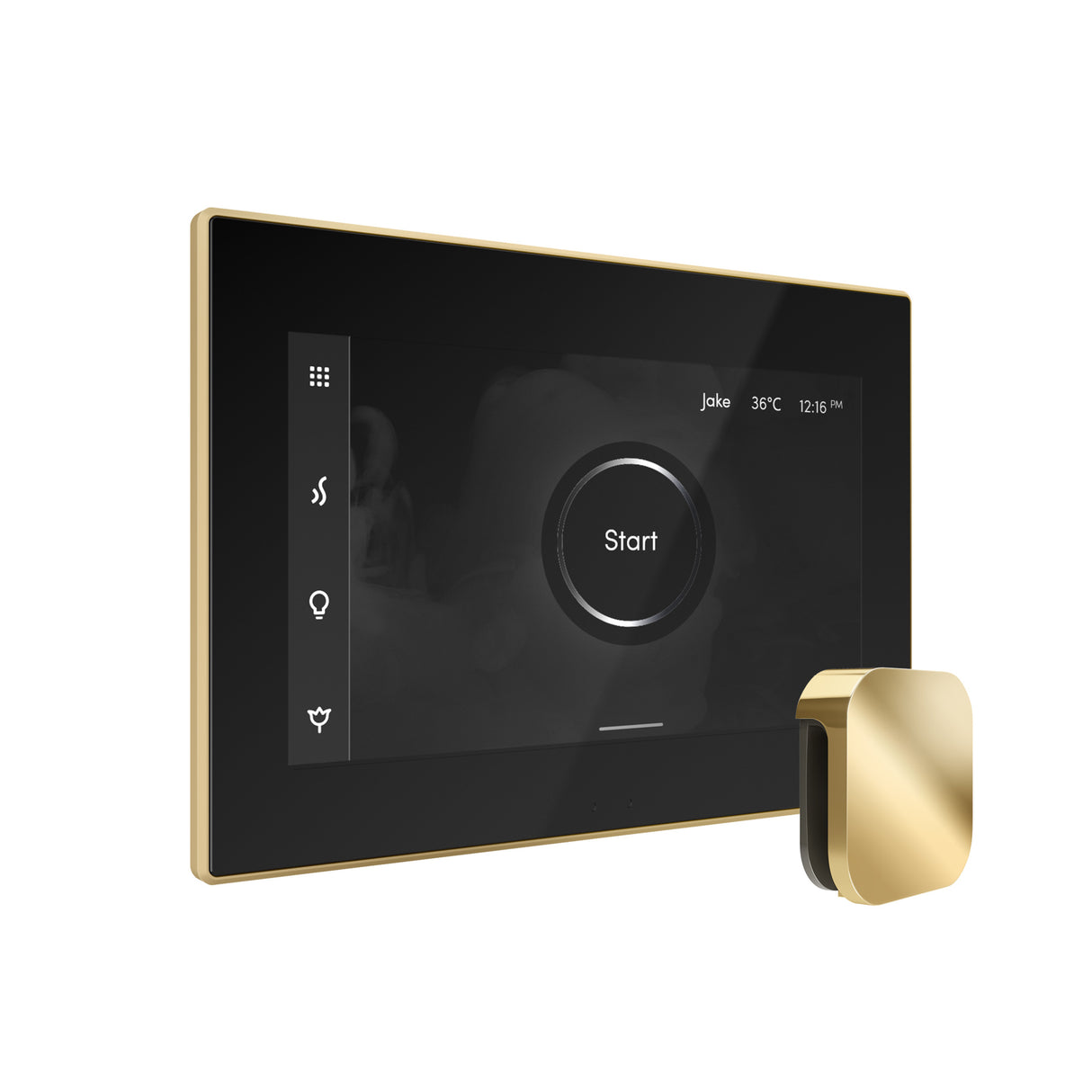 Mr.Steam xDream Steam Shower Control Package