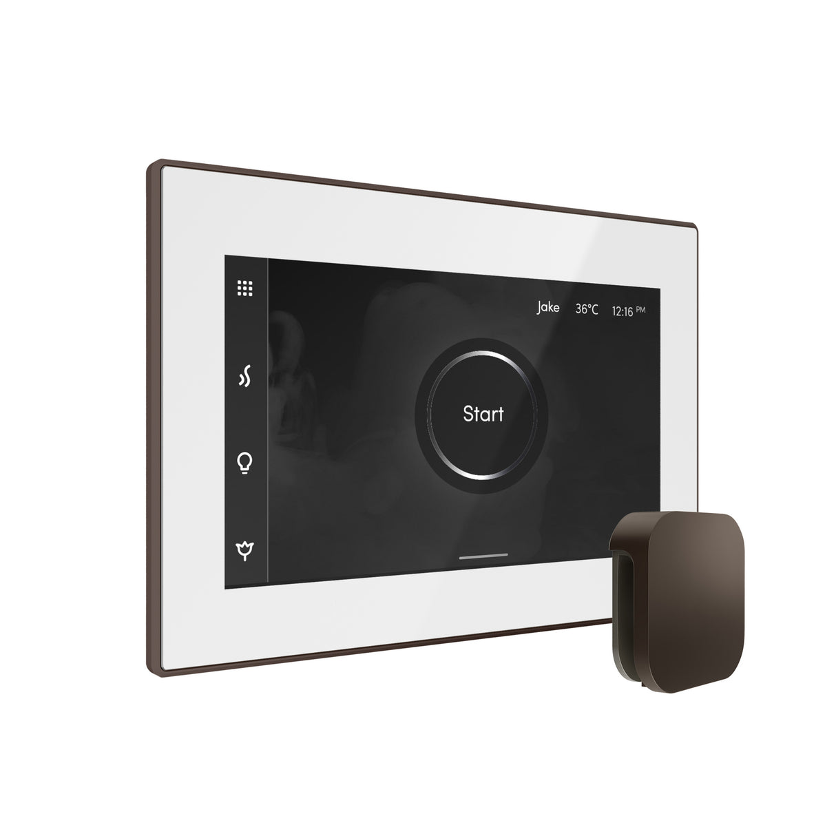 Mr.Steam Bliss Max Steam Shower Control Package