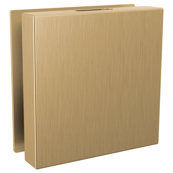 Delta SteamScape Contemporary Steam Shower Head