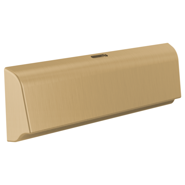 Delta SteamScape Unilateral Steam Shower Head