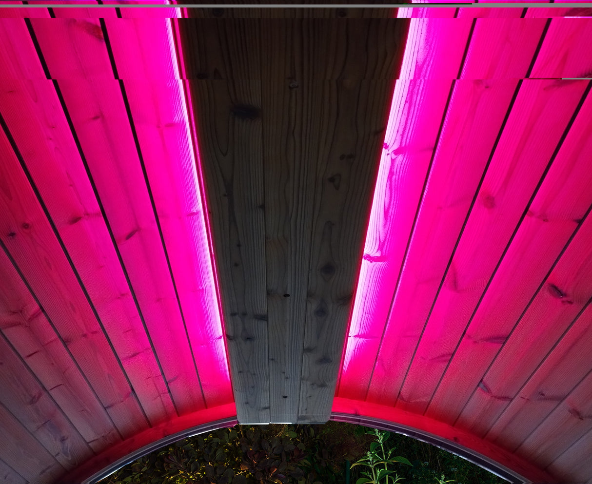 SaunaLife Emood Color Lighting for ERGO Sauna